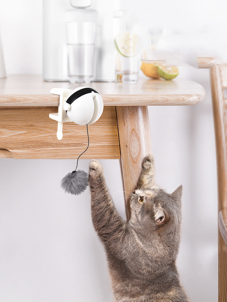 cat play with Auto-Lifter Cat Toy Ball