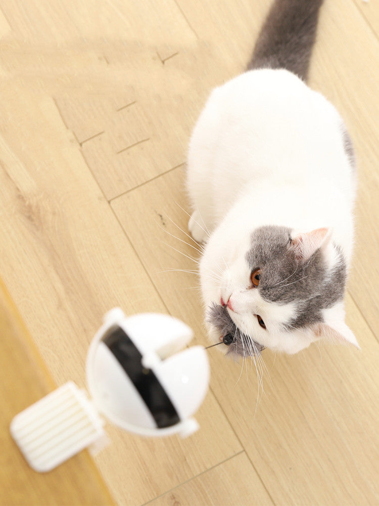 Auto-Lifter Cat Toy Ball