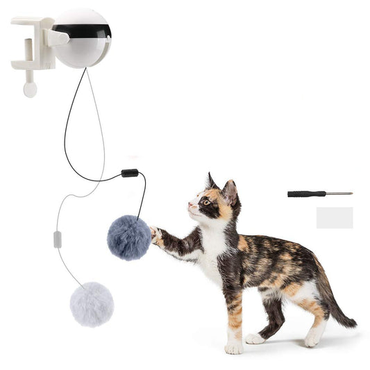 cat play with Auto-Lifter Cat Toy Ball