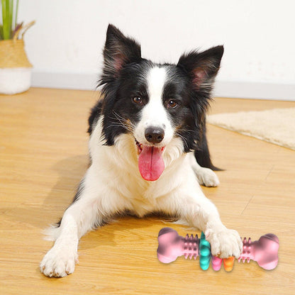 Dog Bone Chews - Clean Teeth, Happy Pup!