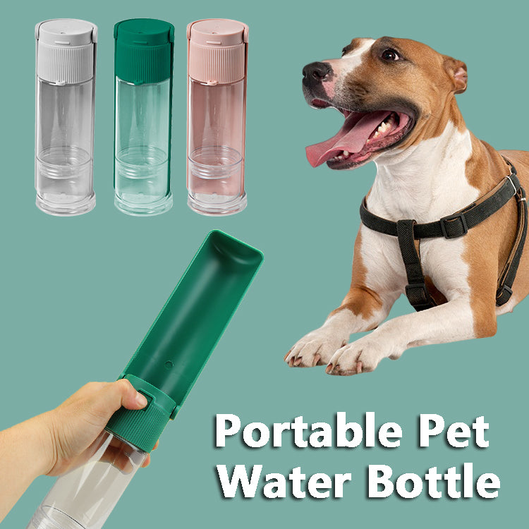 Travel Dog Water Bottle & Feeder