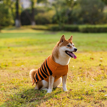 Pumpkin Dog Costumes