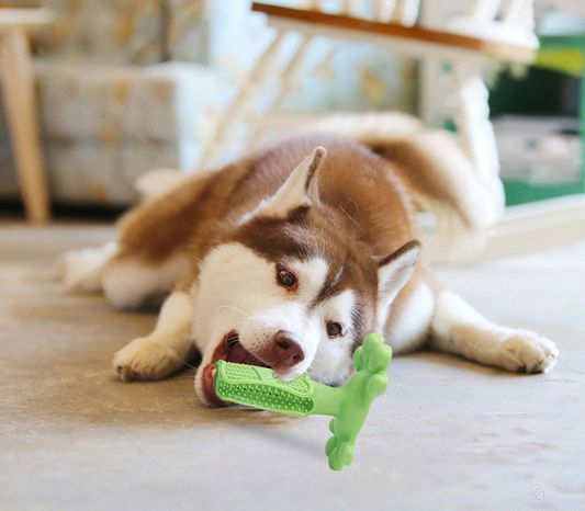 Dog Molar Toys, Cleans Teeth.