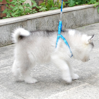 Small Dog Harness Leash