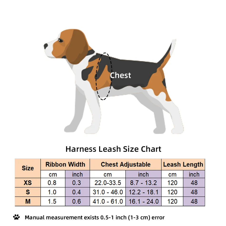 Small Dog Harness Leash