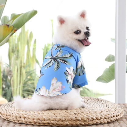 Stylish Summer Dog T-Shirts