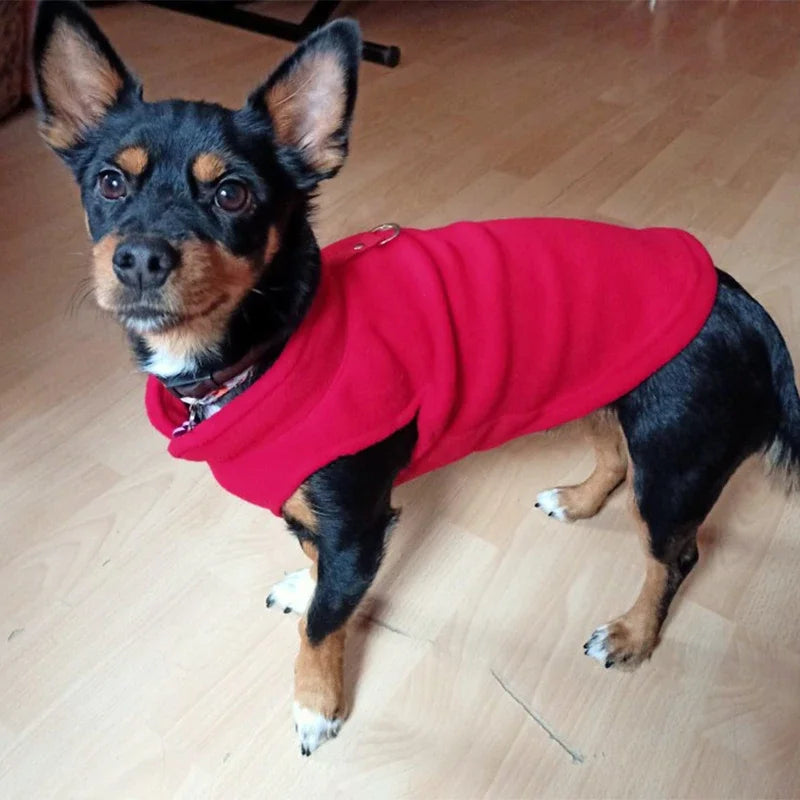 Pet Jacket with D-Ring