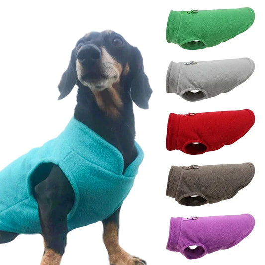 Pet Jacket with D-Ring