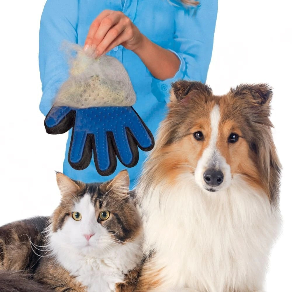 dog and Cat Brush Glove