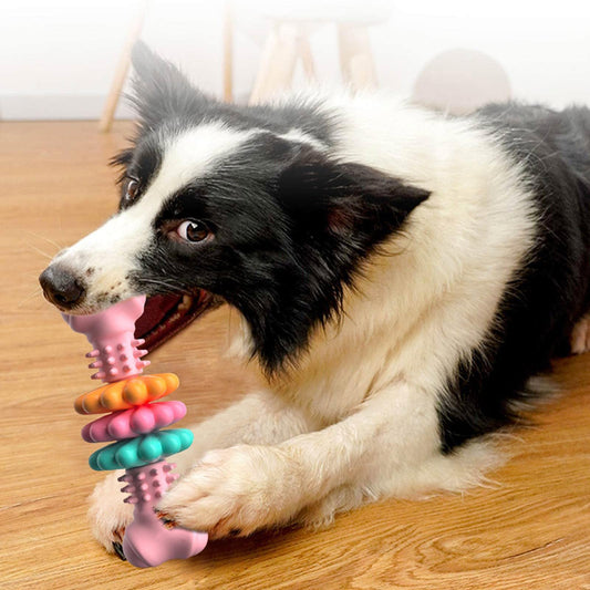 Dog Bone Chews - Clean Teeth, Happy Pup!