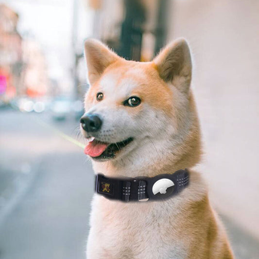 Smart Dog Collar Tracker