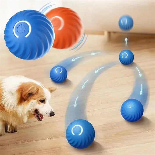 Pup's Magic Ball