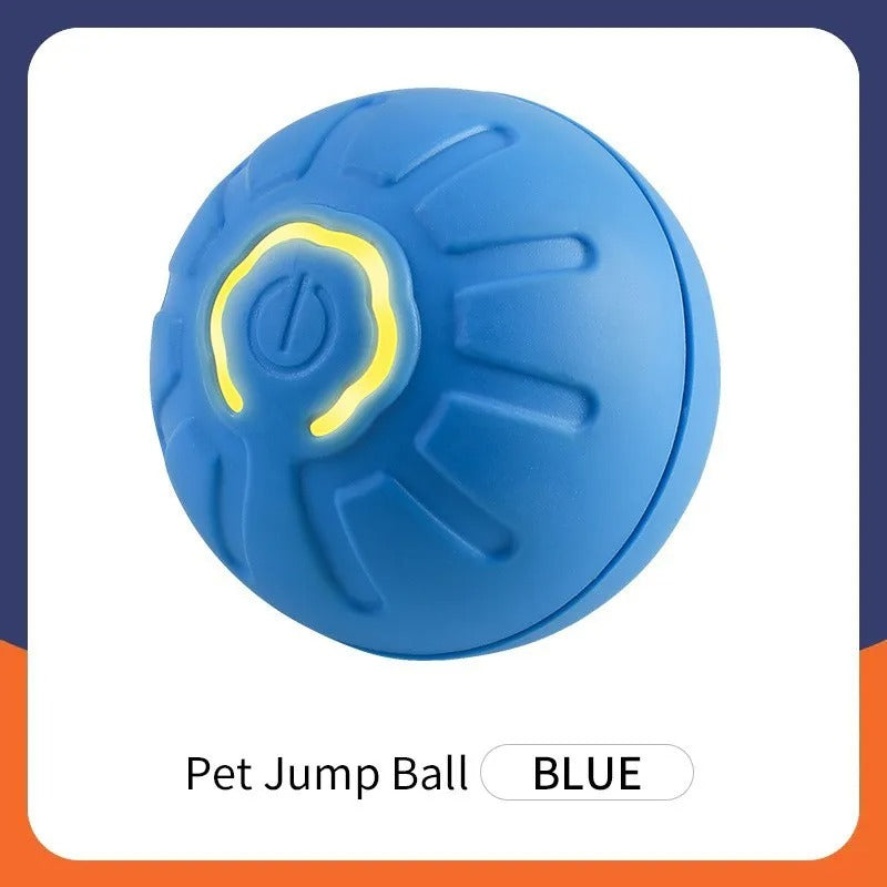 Pup's Magic Ball